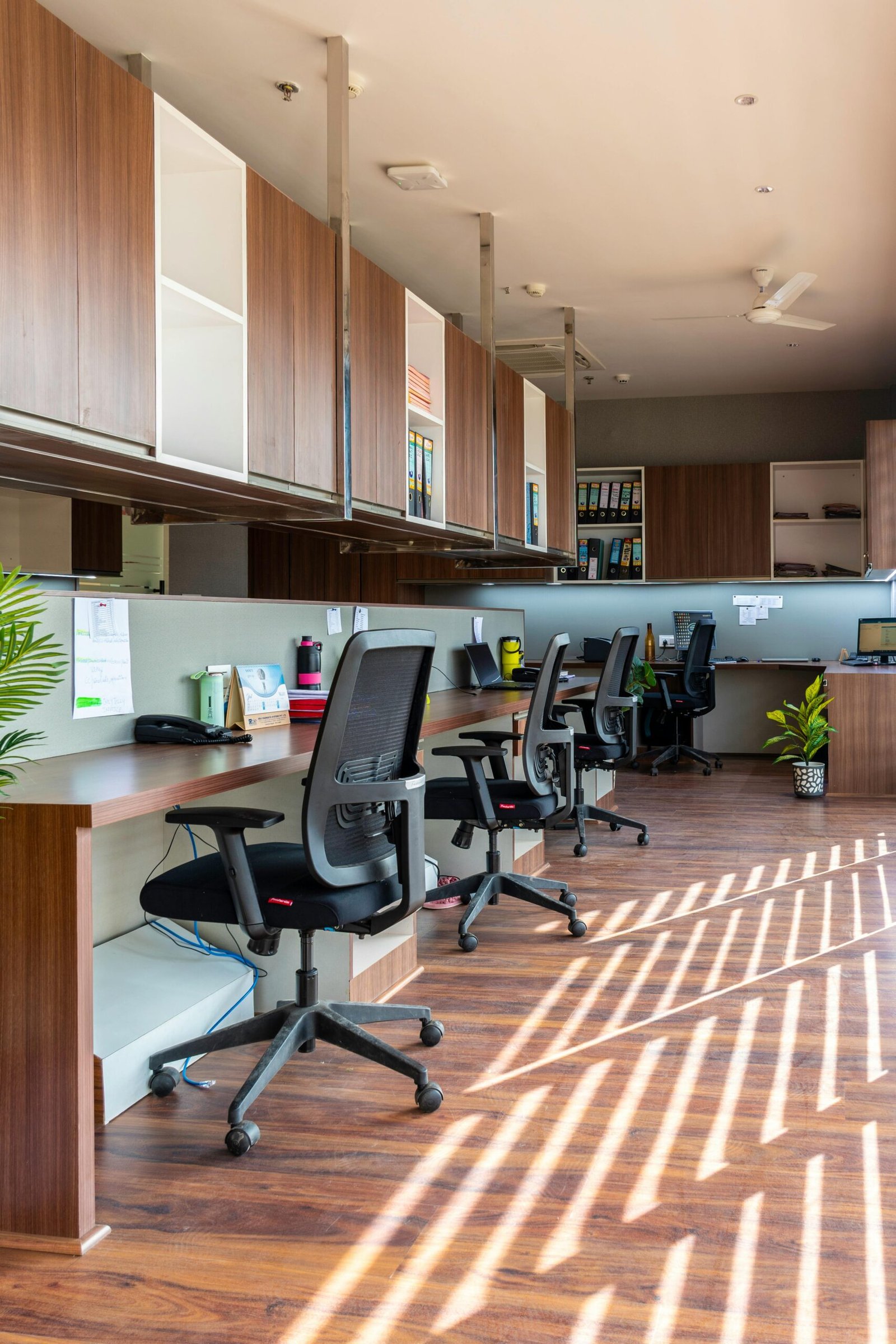 Bright and spacious open office with wooden desks and chairs under natural light. Ideal for creative workspaces.